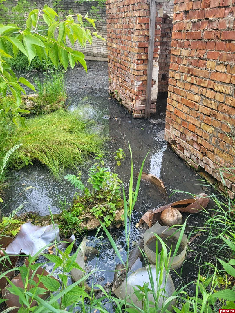 «Шоколадное озеро»: авария на канализации произошла в псковской деревне Неелово