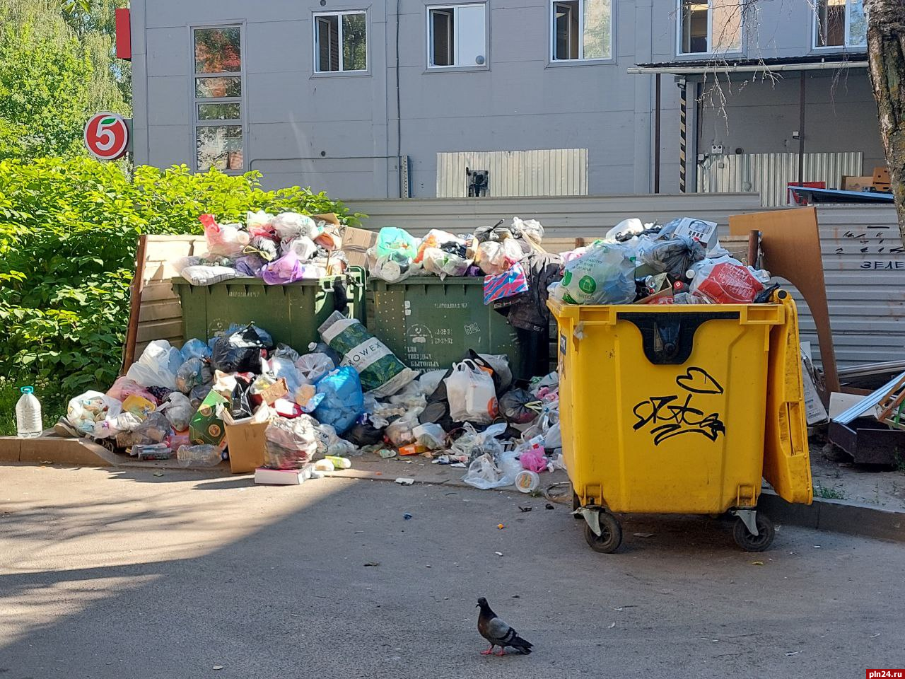 В Пскове продолжается мусорный коллапс, отходы не вывозят три дня
