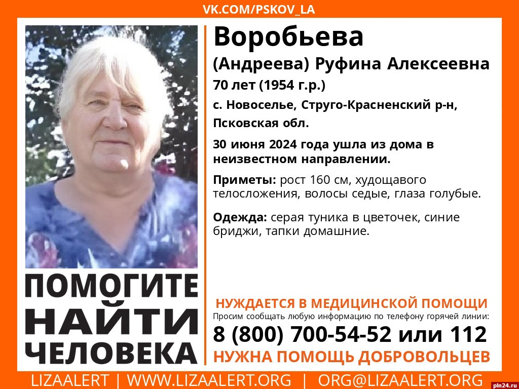 Ушедшую в неизвестном направлении пенсионерку ищут в Псковской области