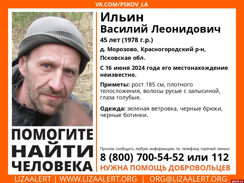 Пропавшего две недели назад мужчину ищут в Псковской области