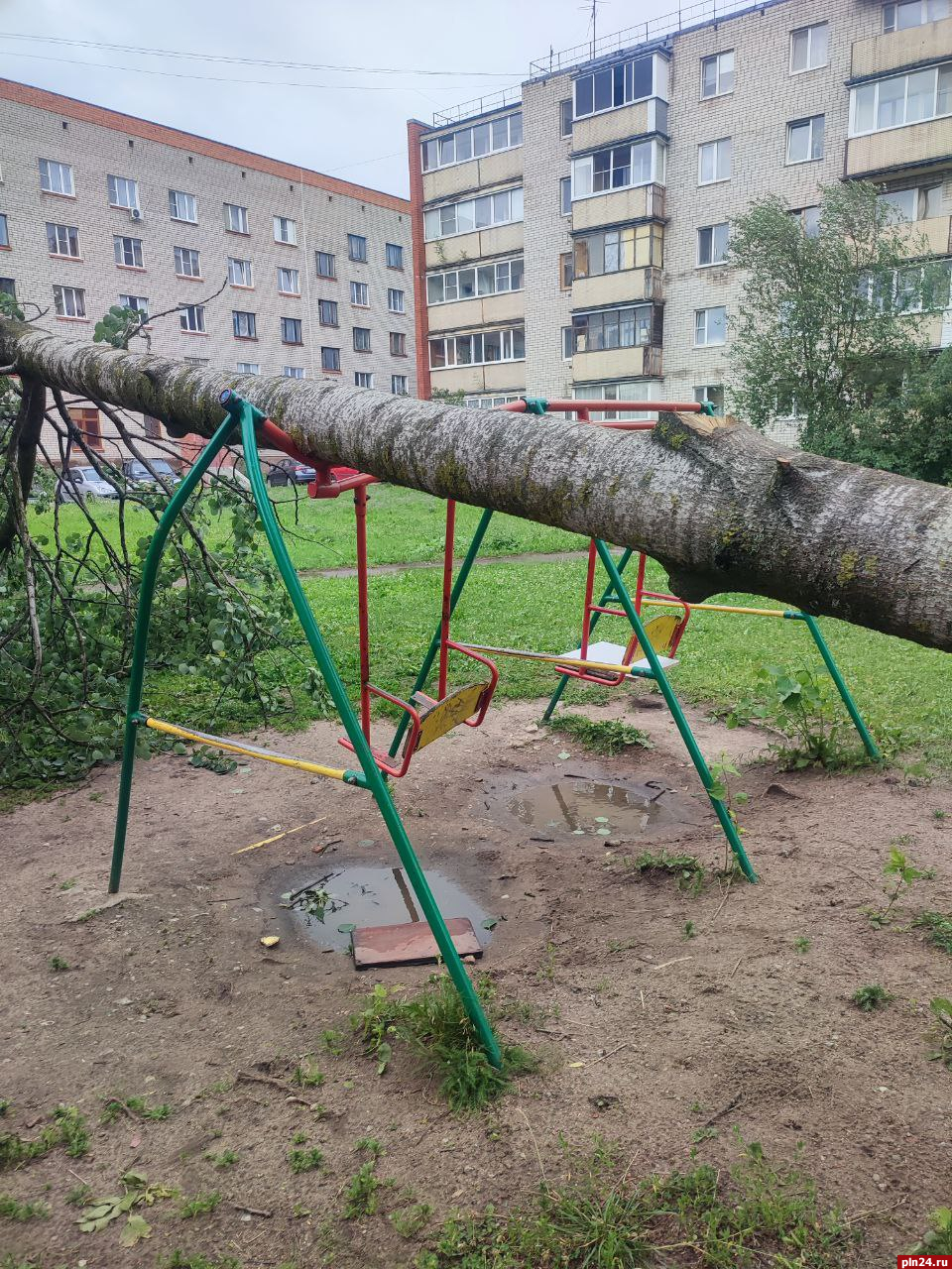 Дерево упало на детские качели в Пскове