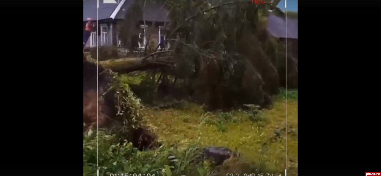 «Россети» увеличили группировку сил и средств для ликвидации последствий урагана в Псковской области