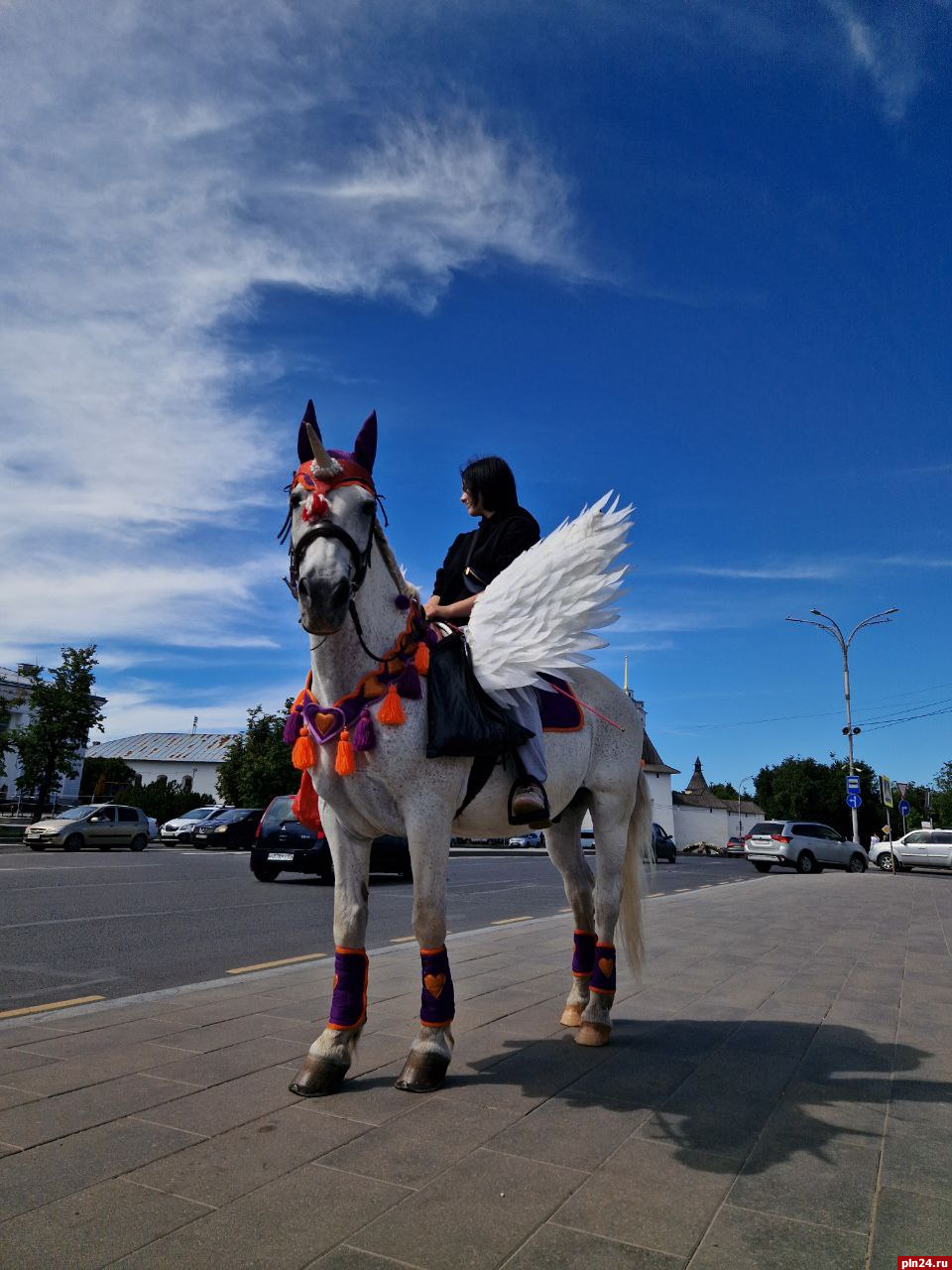 Запрет нахождения лошадей в парках обсудят на комитете Псковской гордумы