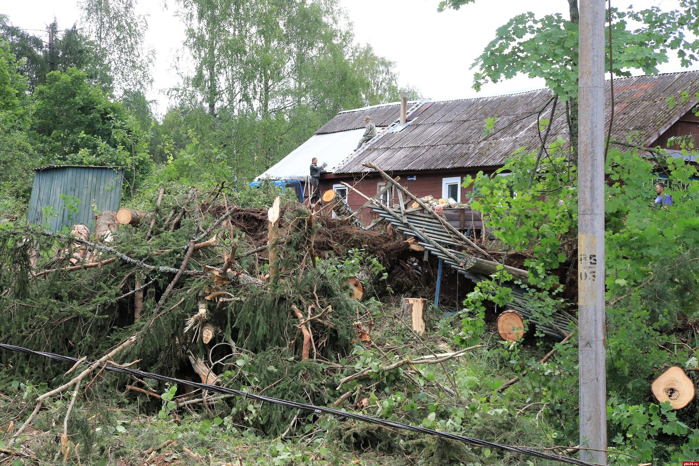 Электроснабжение в Куньинском районе восстановили после прошедшего неделю назад урагана
