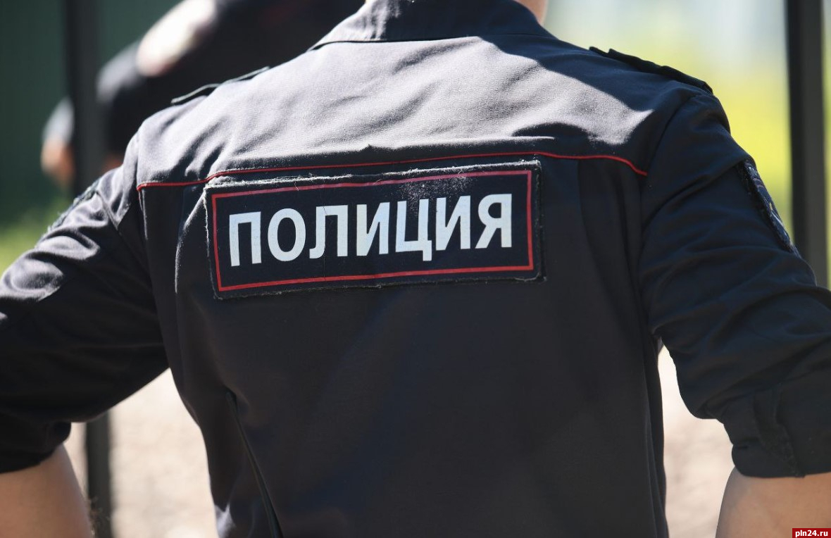 Женщина в Великих Луках получила условный срок за оскорбление полицейских