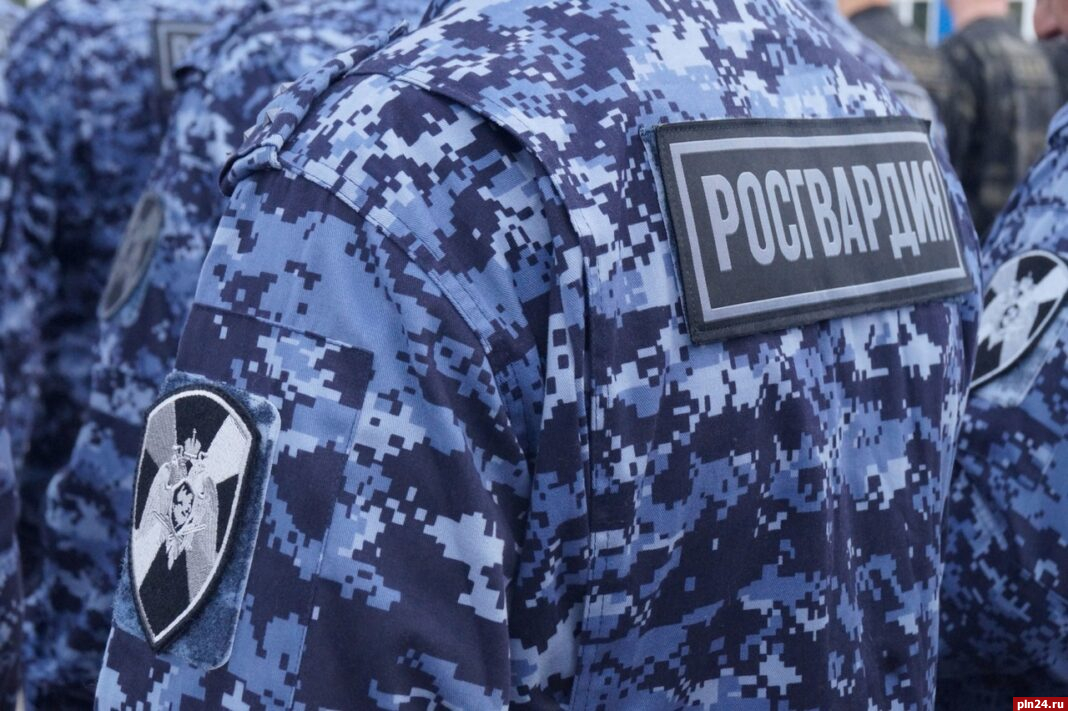 14 единиц оружия изъяли росгвардейцы за неделю у жителей Псковской области