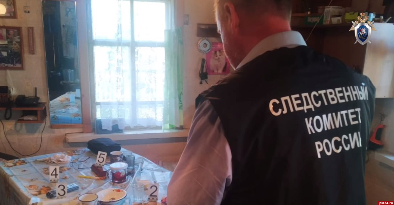 Петербуржца подозревают в убийстве знакомого в Новосокольническом районе