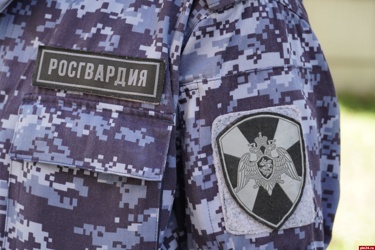 12 единиц оружия изъяли росгвардейцы за неделю у жителей Псковской области