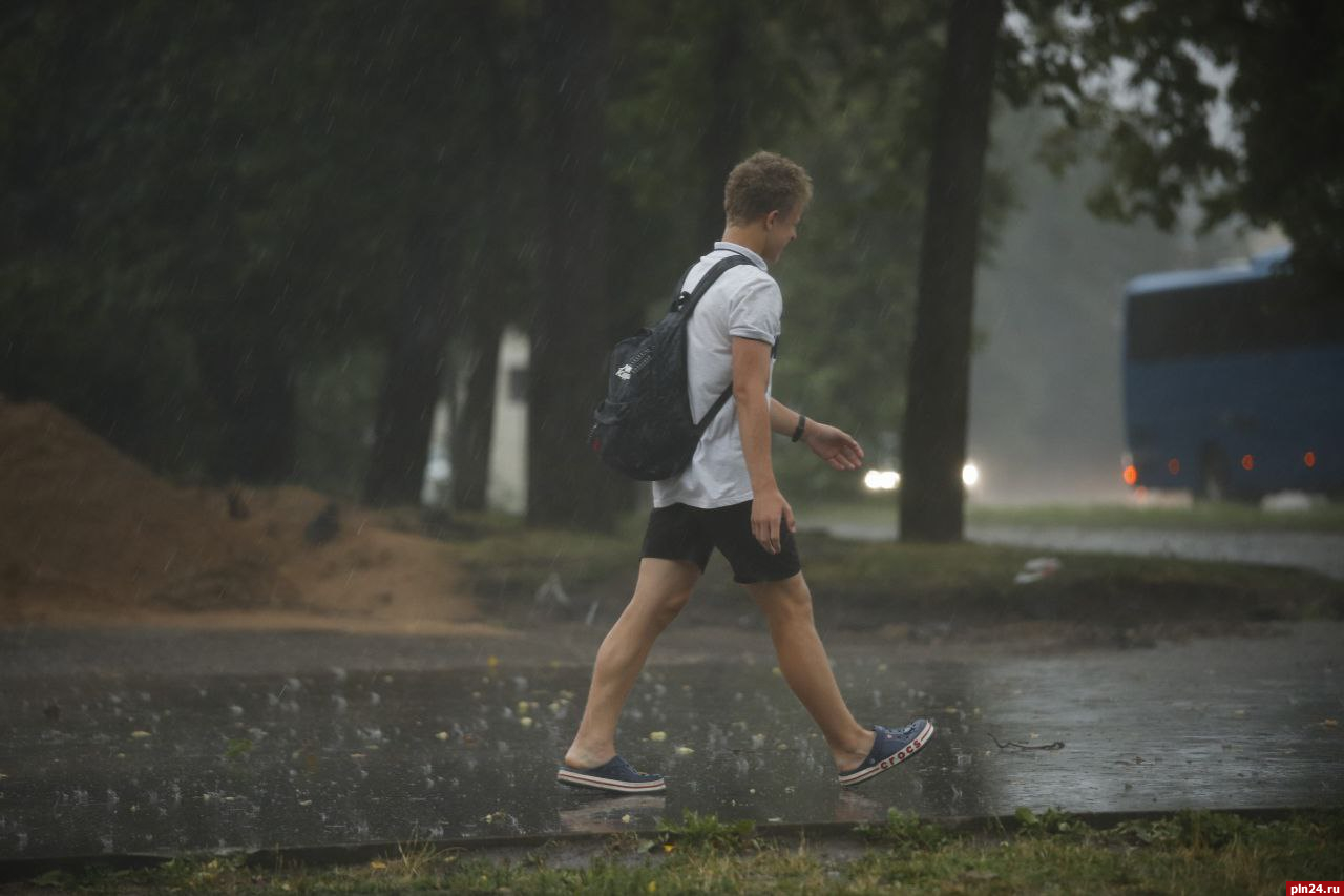 Дожди и грозы прогнозируют на территории Псковской области 30 июля