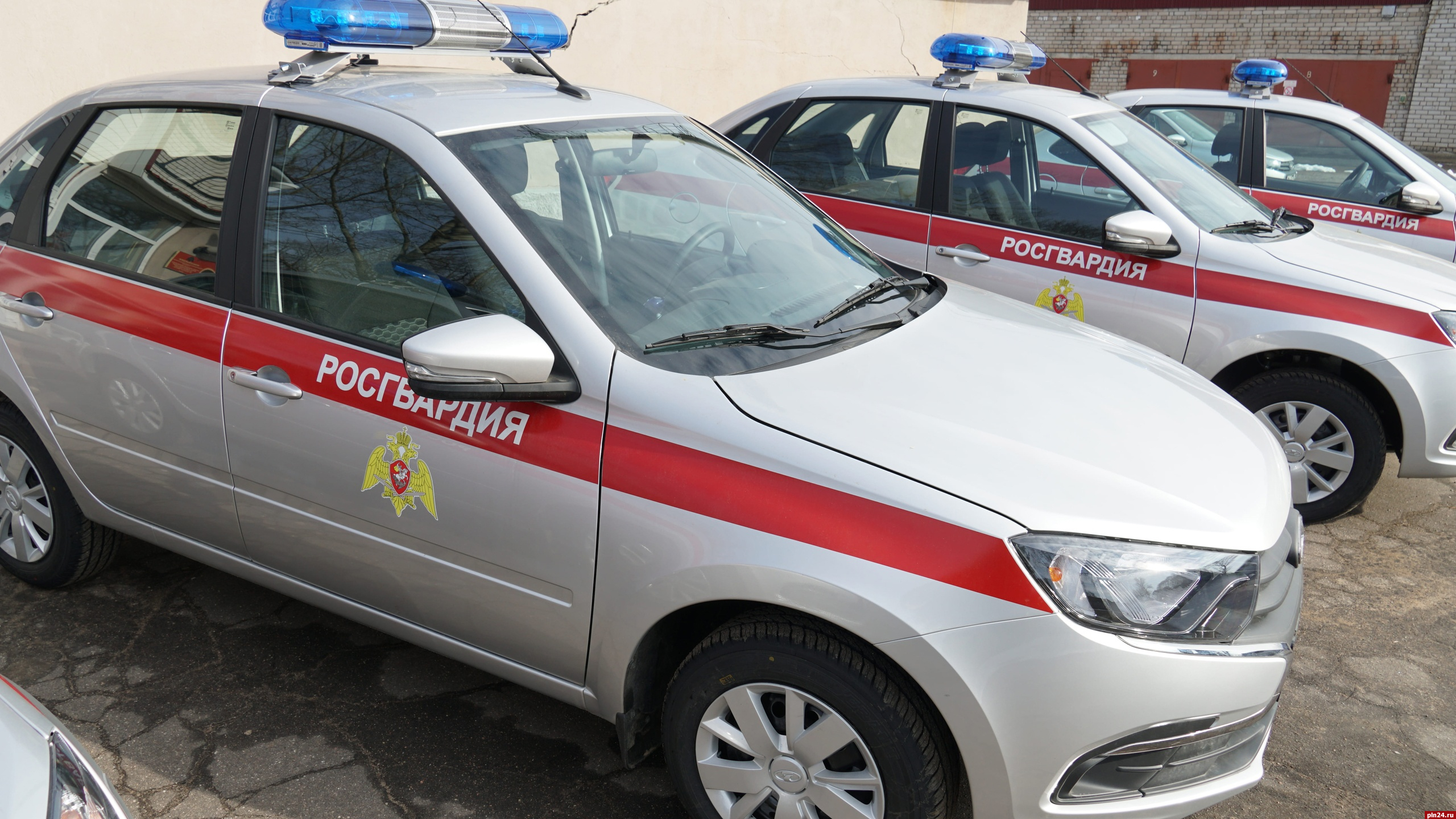 Девушку задержали в Пскове по подозрению в открытом похищении тушенки