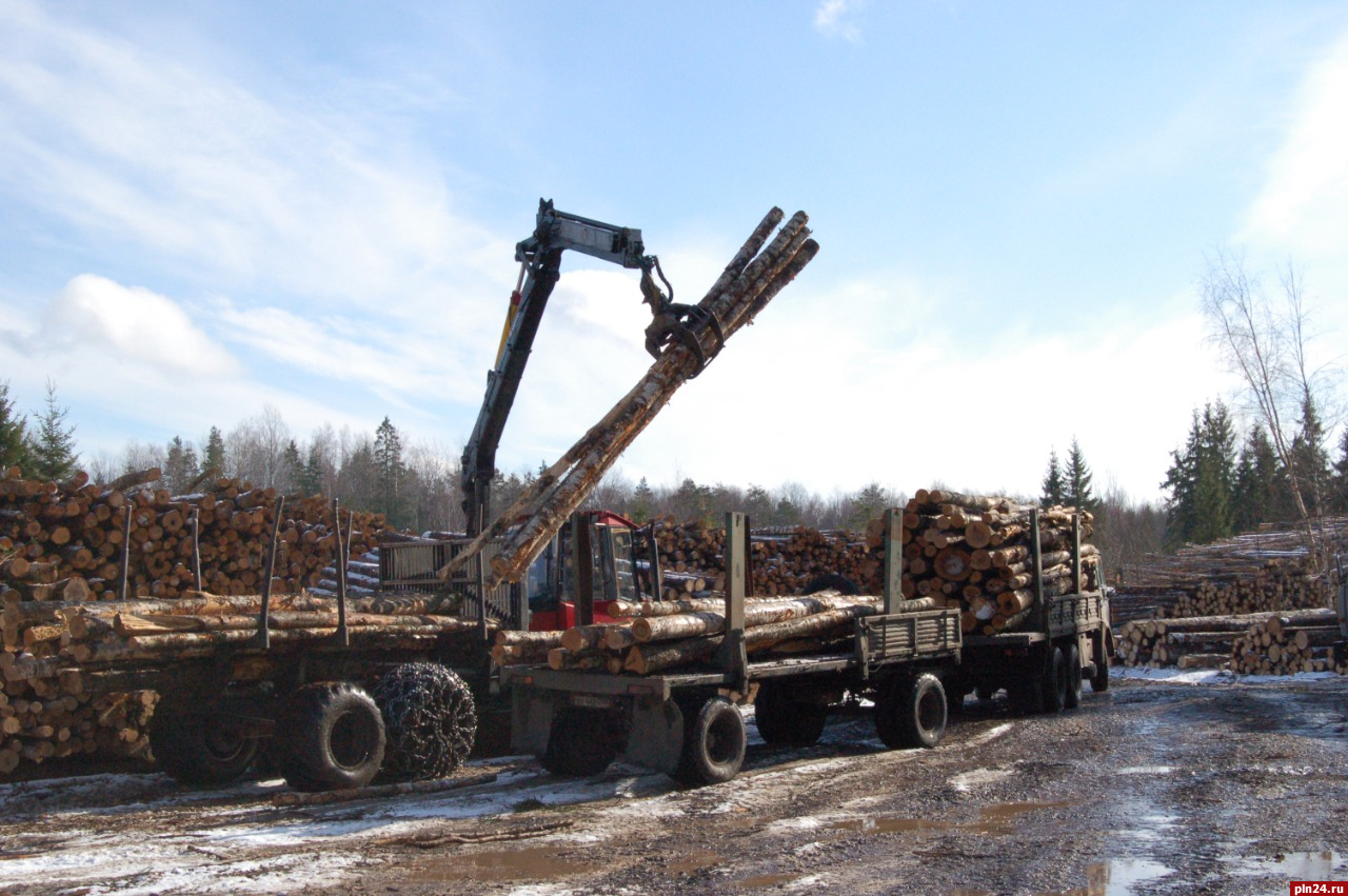 Объем производства лесоматериалов в Псковской области увеличился на 10%