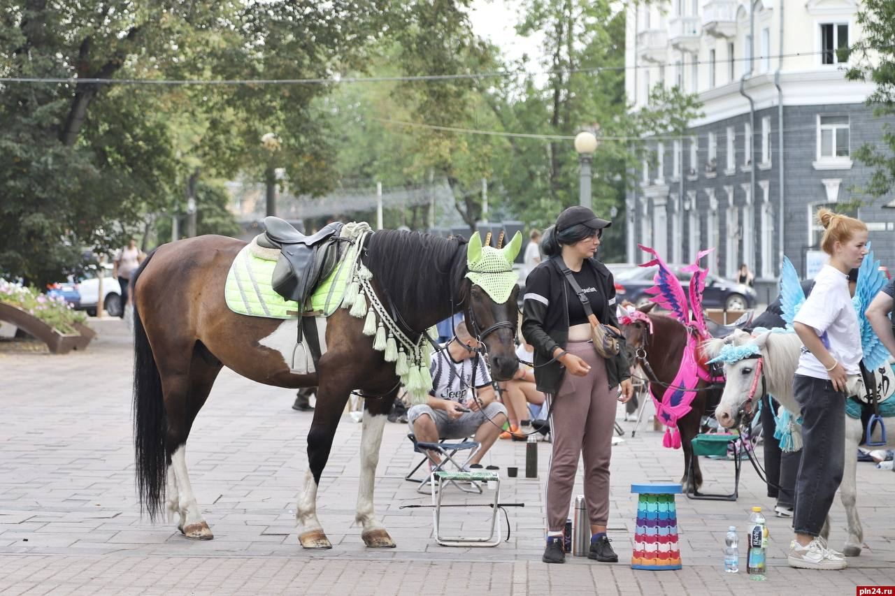 Фотофакт: Лошадницы оказывают услуги в Детском парке Пскова, несмотря на запрет