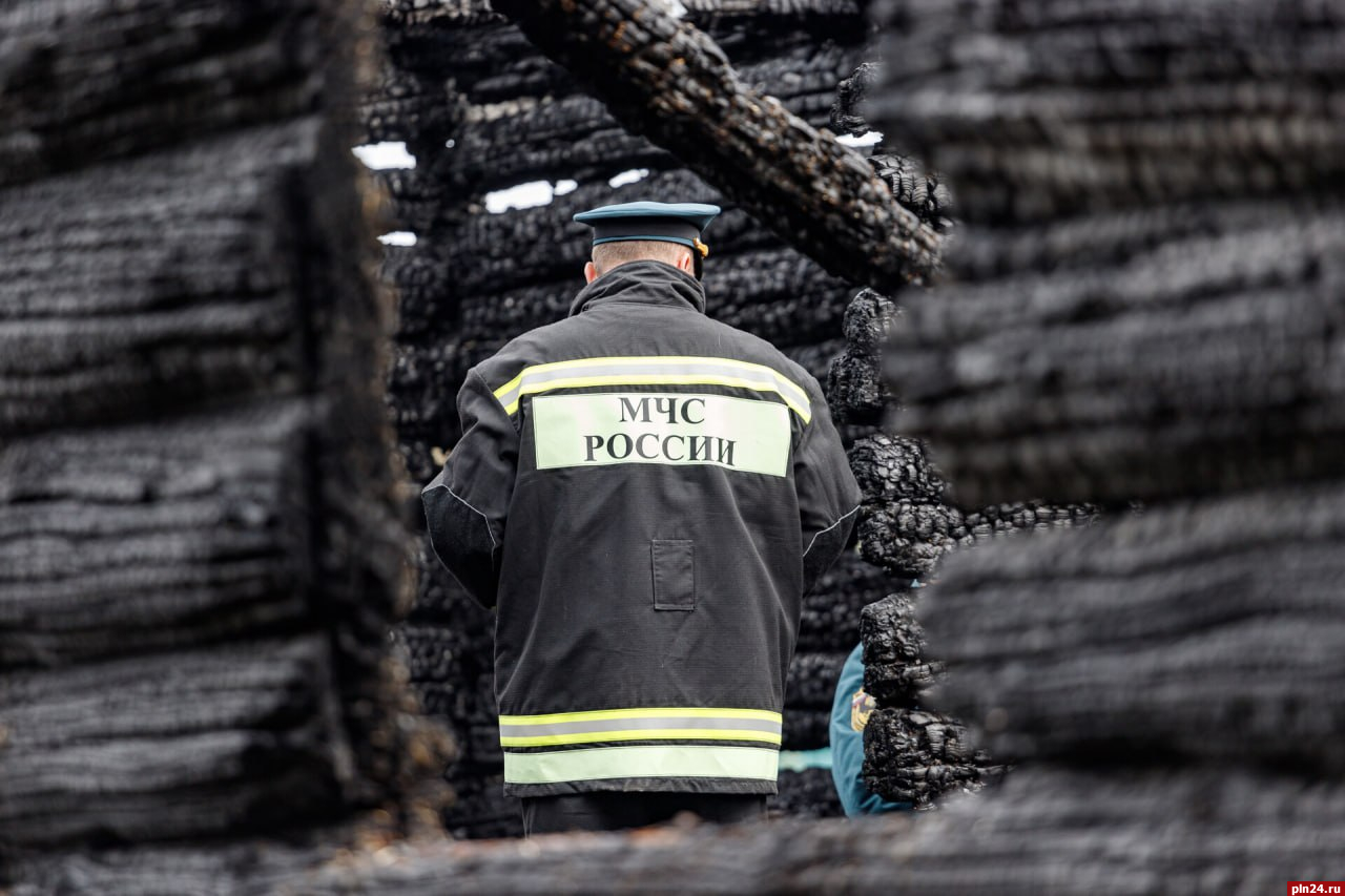За семь месяцев при пожарах в Псковской области погибли 45 человек