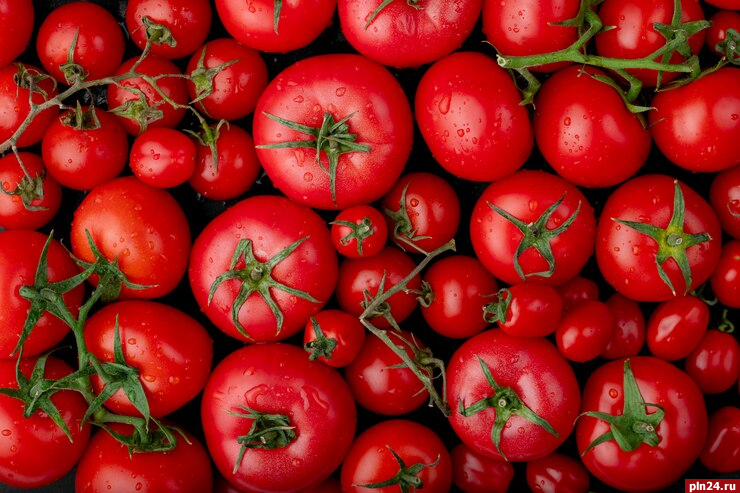 Две тонны белорусских томатов не пропустили в РФ через границу в Псковской области