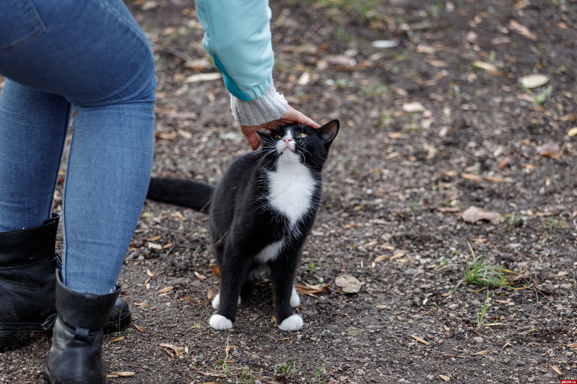 Всемирный день доброты принять праздновать 13 ноября