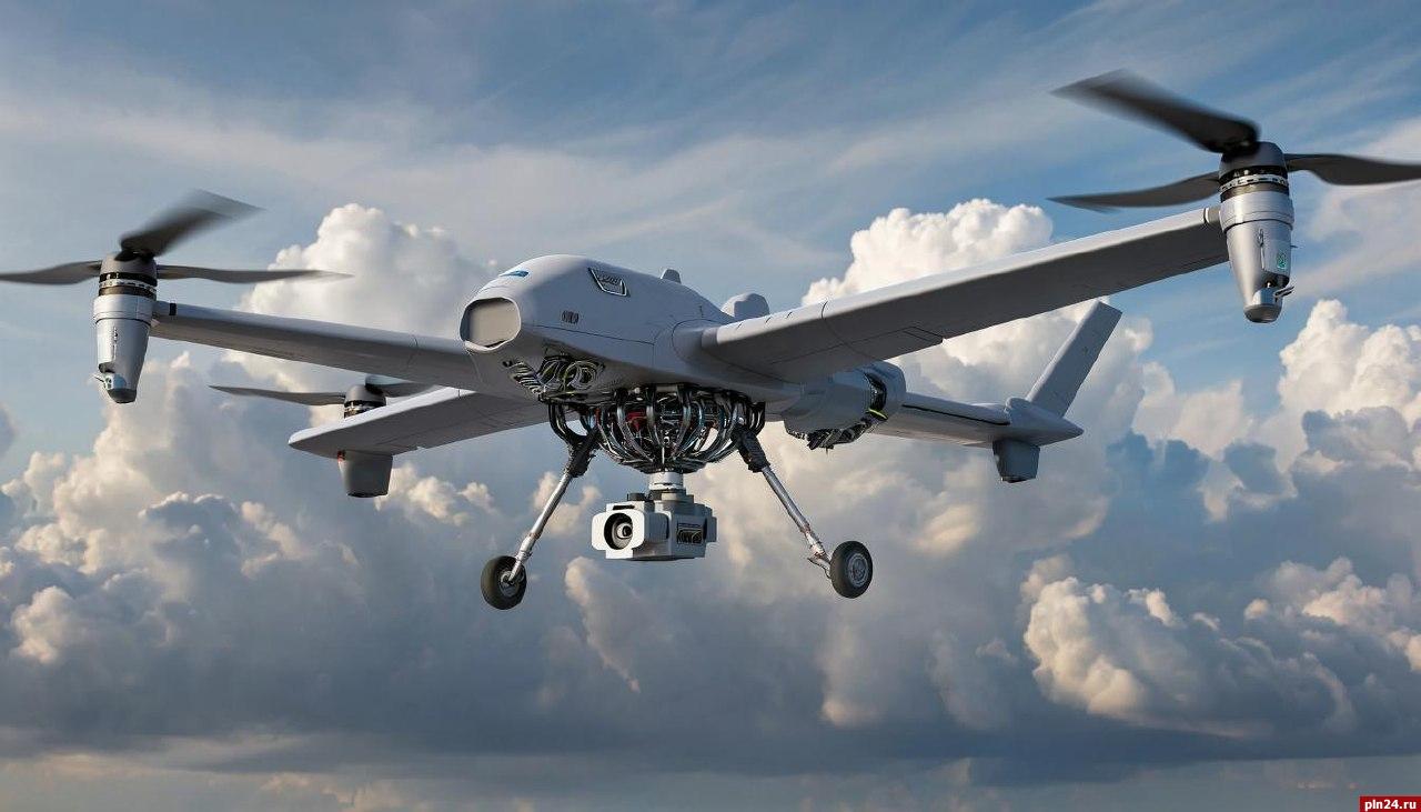 Экстренные службы на юге Псковской области перешли в режим повышенной готовности из-за БПЛА