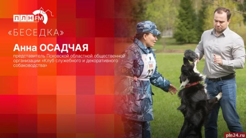 «Беседка»: Как кинологический центр изменит жизнь псковичей и их питомцев?