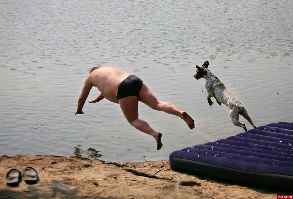 Смешные прыгуны в воду