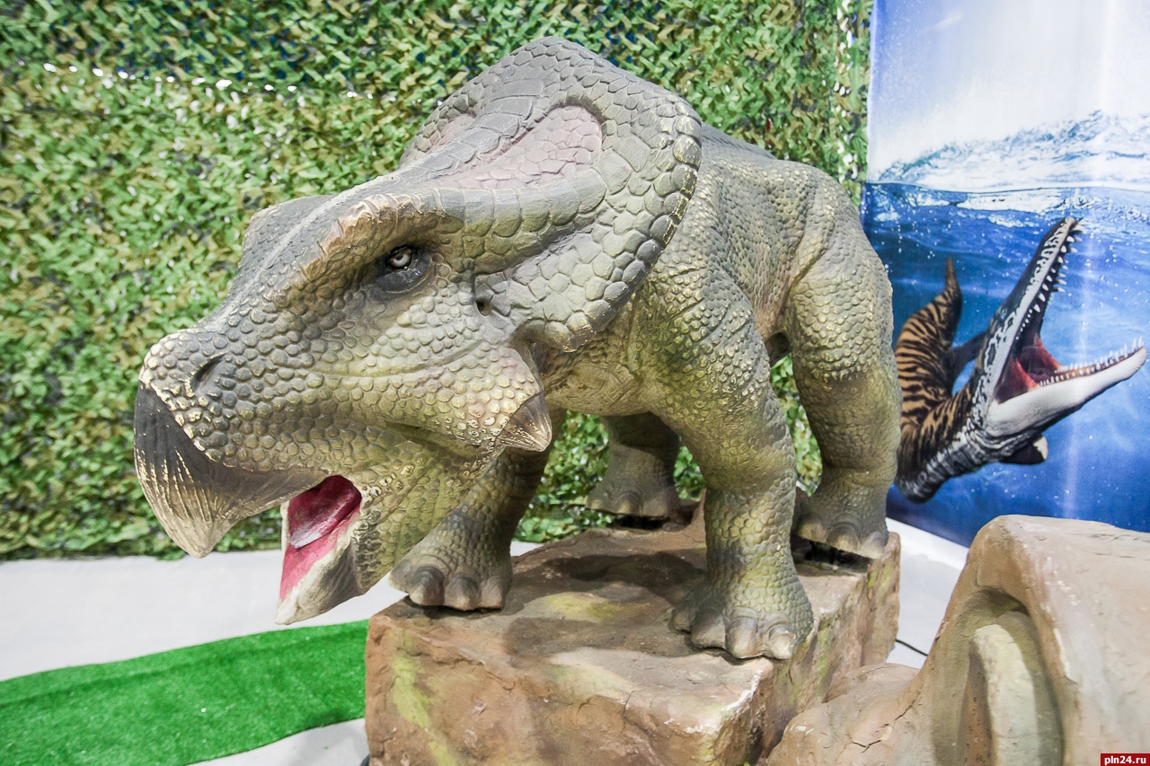 Выставка динозавров ульяновск. Выставка динозавров Рязань. Выставка динозавров Владивосток. Фото динозавров настоящих во весь рост. В Ирландии выставку динозавров.